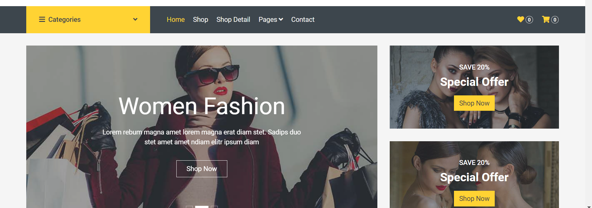 Ecommerce Website